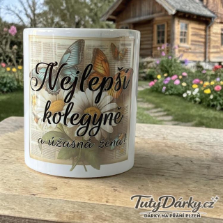 Hrnek - Nejlepší kolegyně a báječná žena